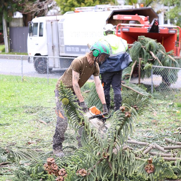 Section clearing — cutting up felled tree branches