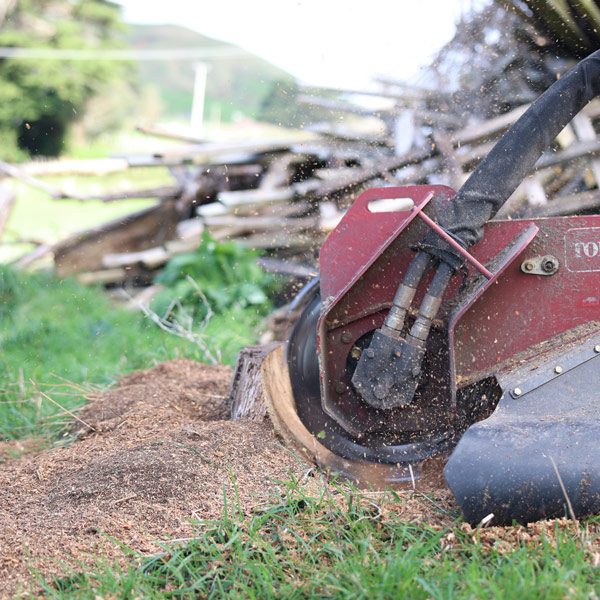Stump Removal & Grinding